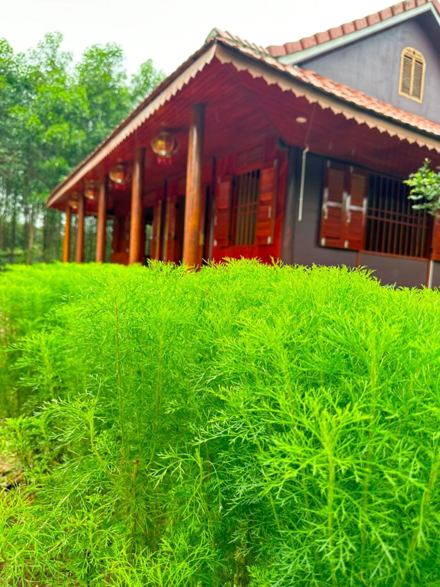Phong Nha Eco Village Extérieur photo