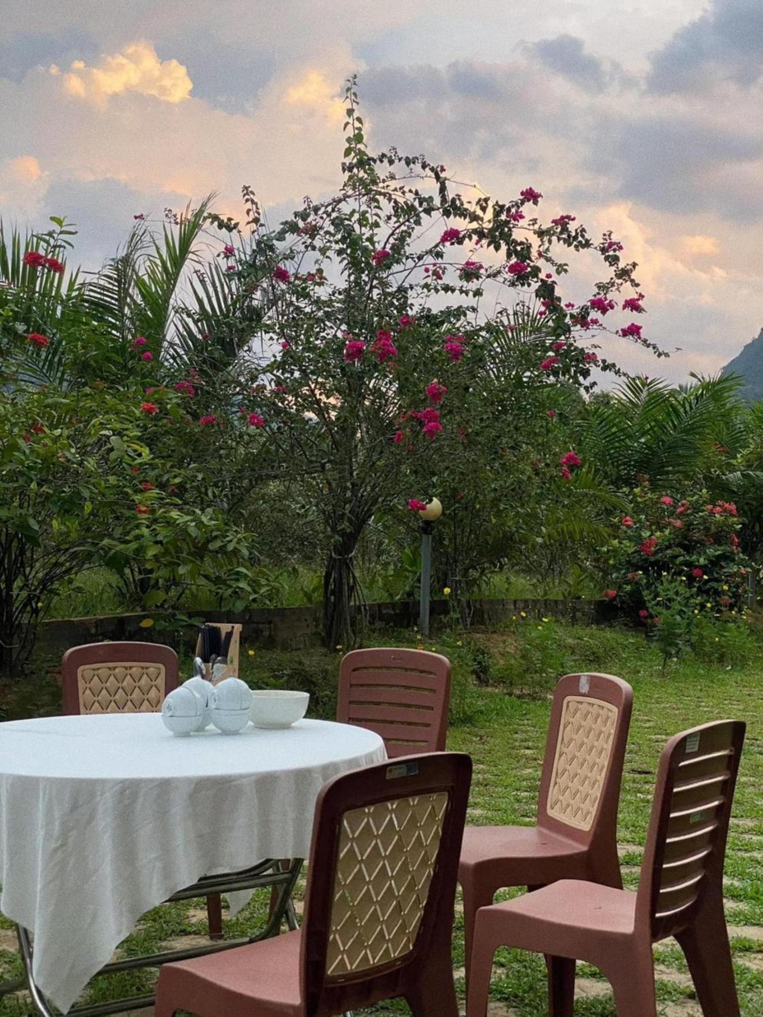 Phong Nha Eco Village Extérieur photo