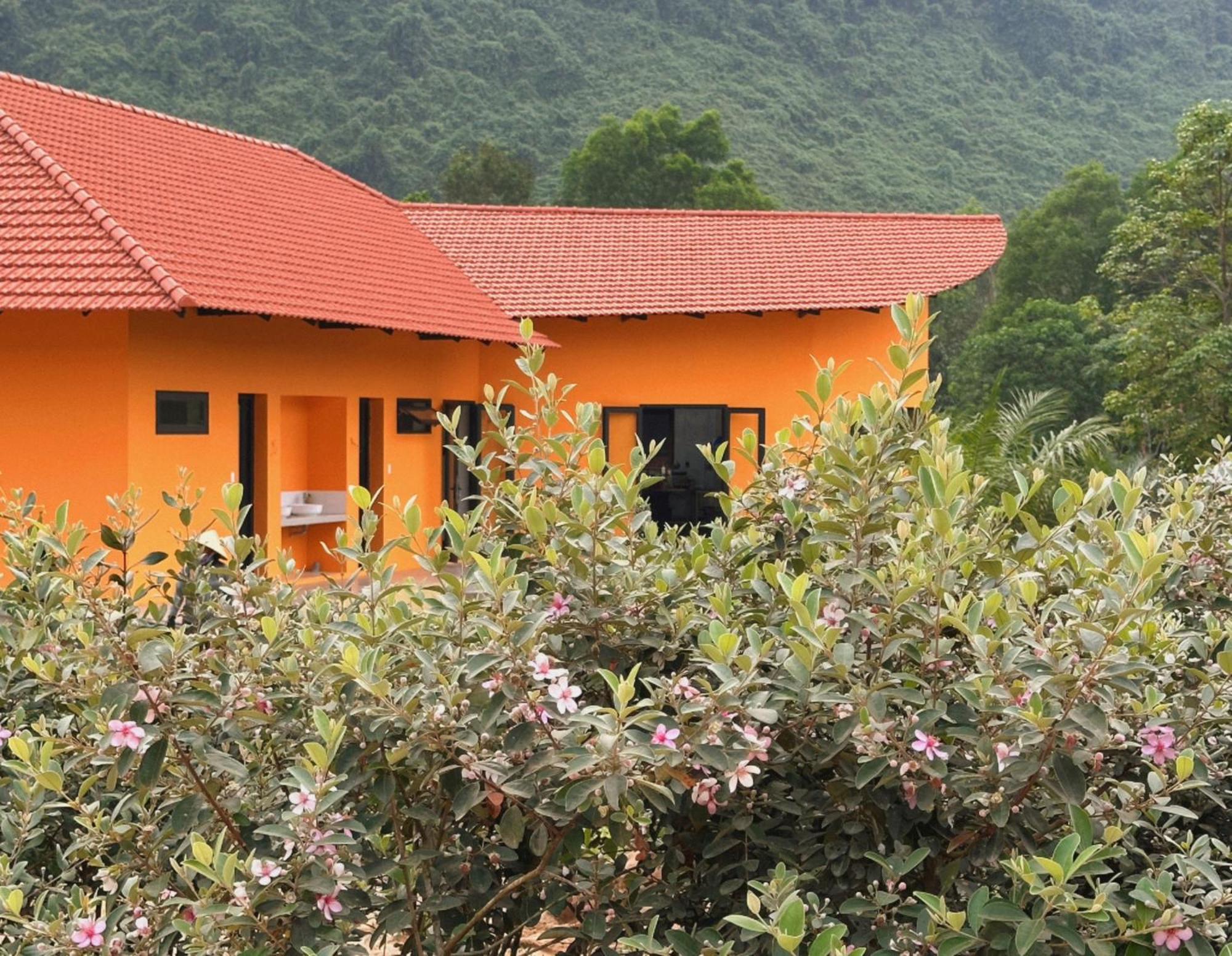 Phong Nha Eco Village Extérieur photo