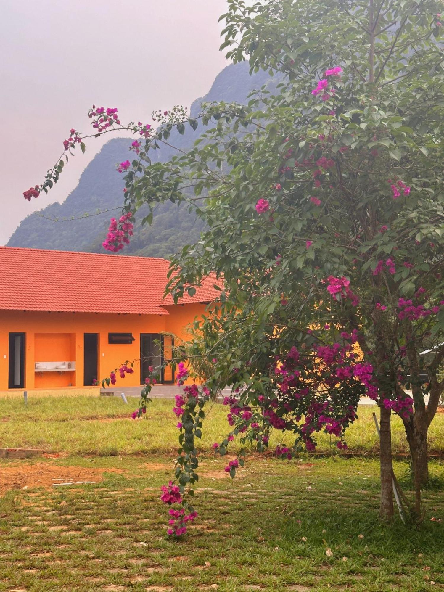 Phong Nha Eco Village Extérieur photo